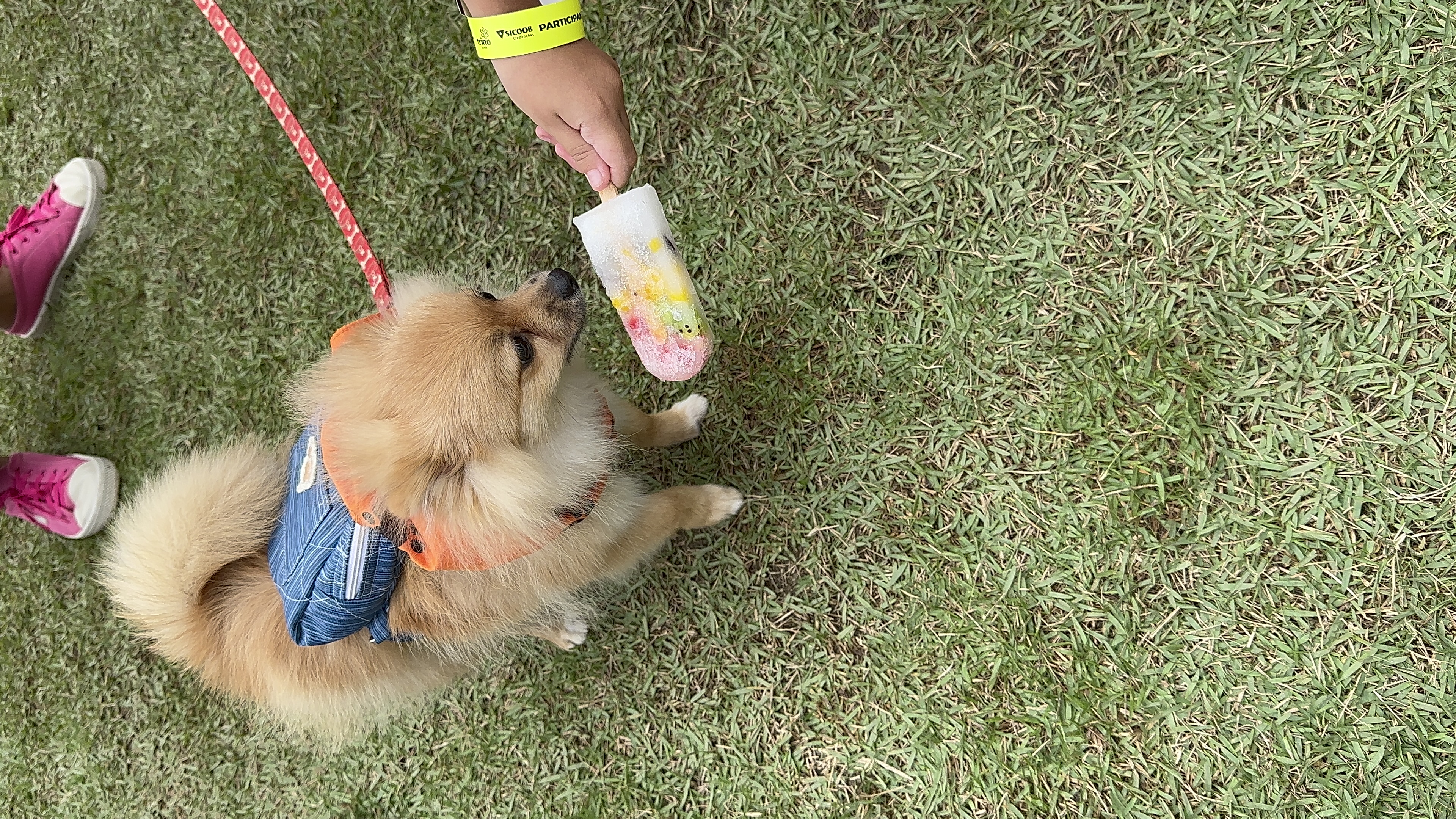 Personagem canino com crianças no gramado